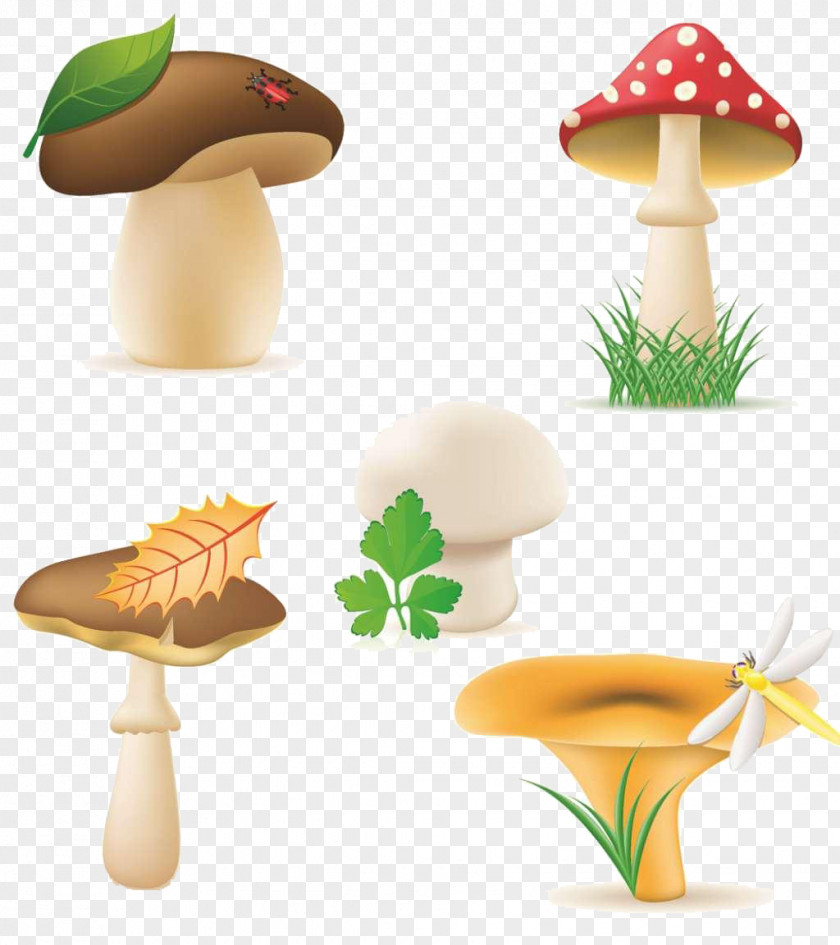 Mushroom Figure Royalty-free Edible Clip Art PNG