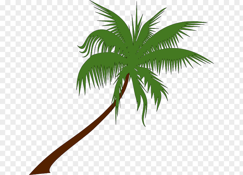 Palm Leaves Coconut Arecaceae Tree Clip Art PNG