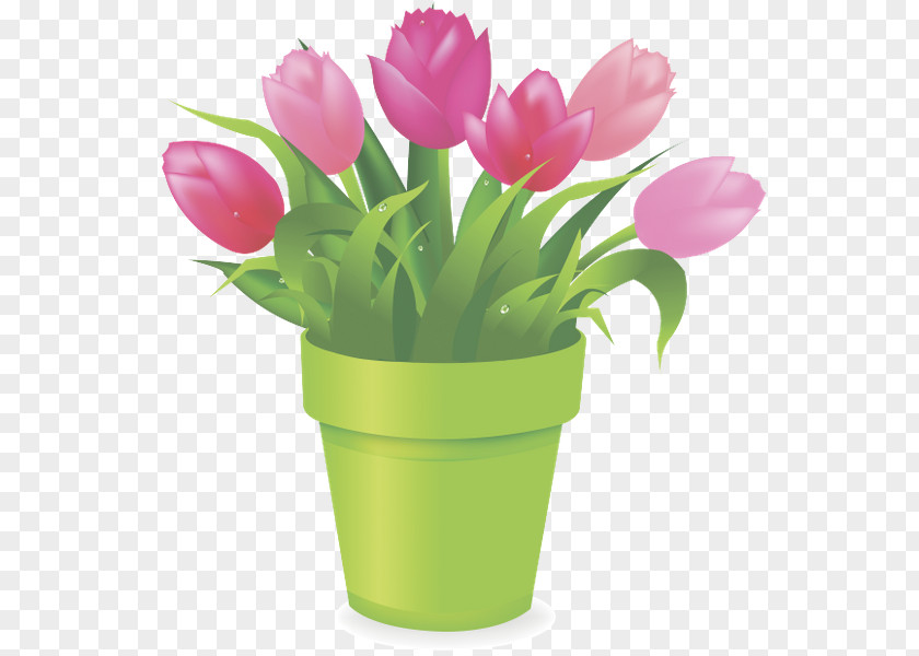Tulip Flowerpot Stock Photography Clip Art PNG