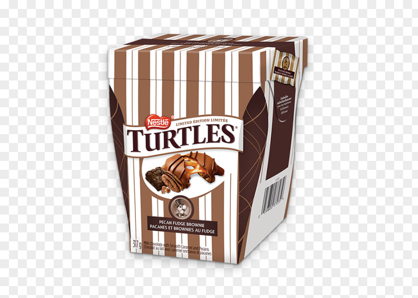 Turtle Chocolate Bar Turtles Toast PNG