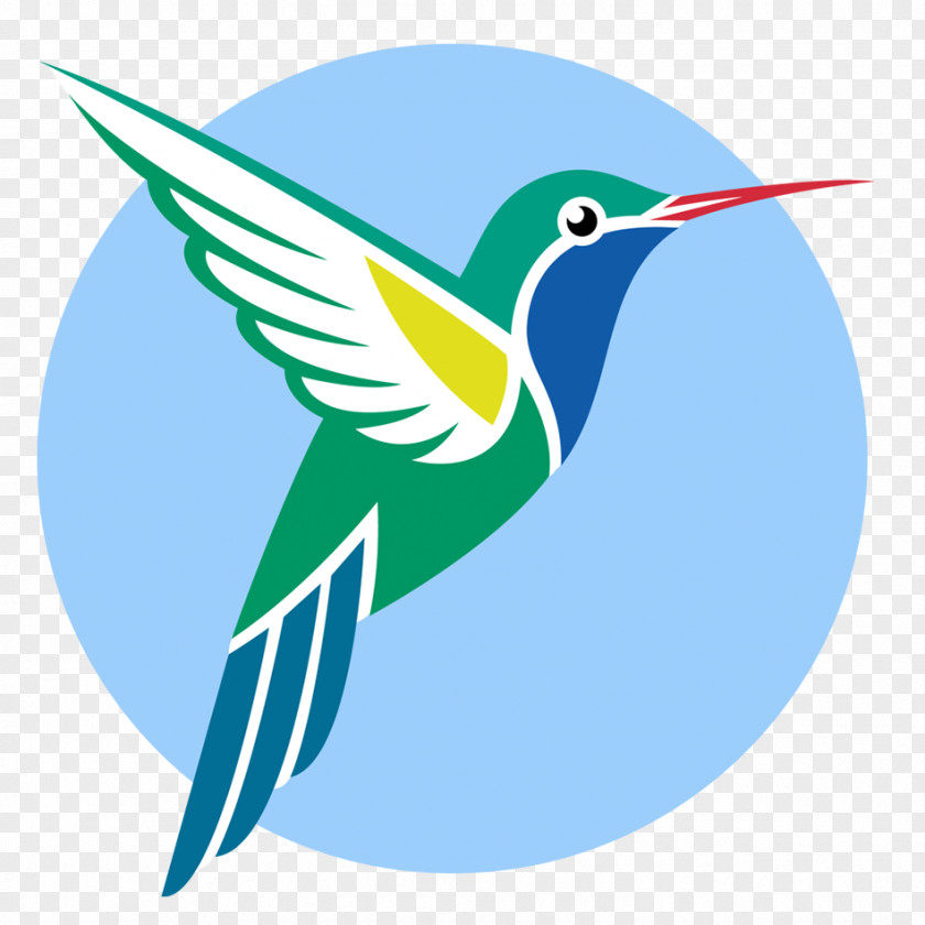 Bird Broad-billed Hummingbird Vector Graphics Ruby-throated PNG