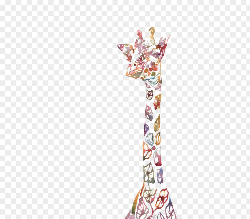 Color Giraffe Northern Baby Giraffes Watercolor Painting PNG
