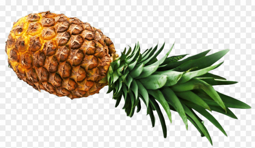 Juice Pineapple Piña Colada Clip Art PNG