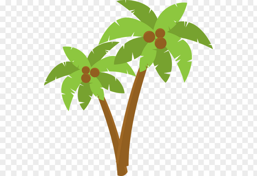 Moana Theme Tree Arecaceae Clip Art PNG