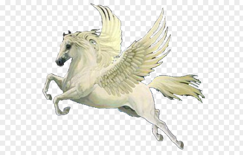 Pegasus Massage & Spa Greek Mythology PNG