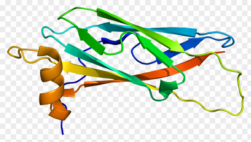 VAPA Vesicle-associated Membrane Protein VAP Family PNG