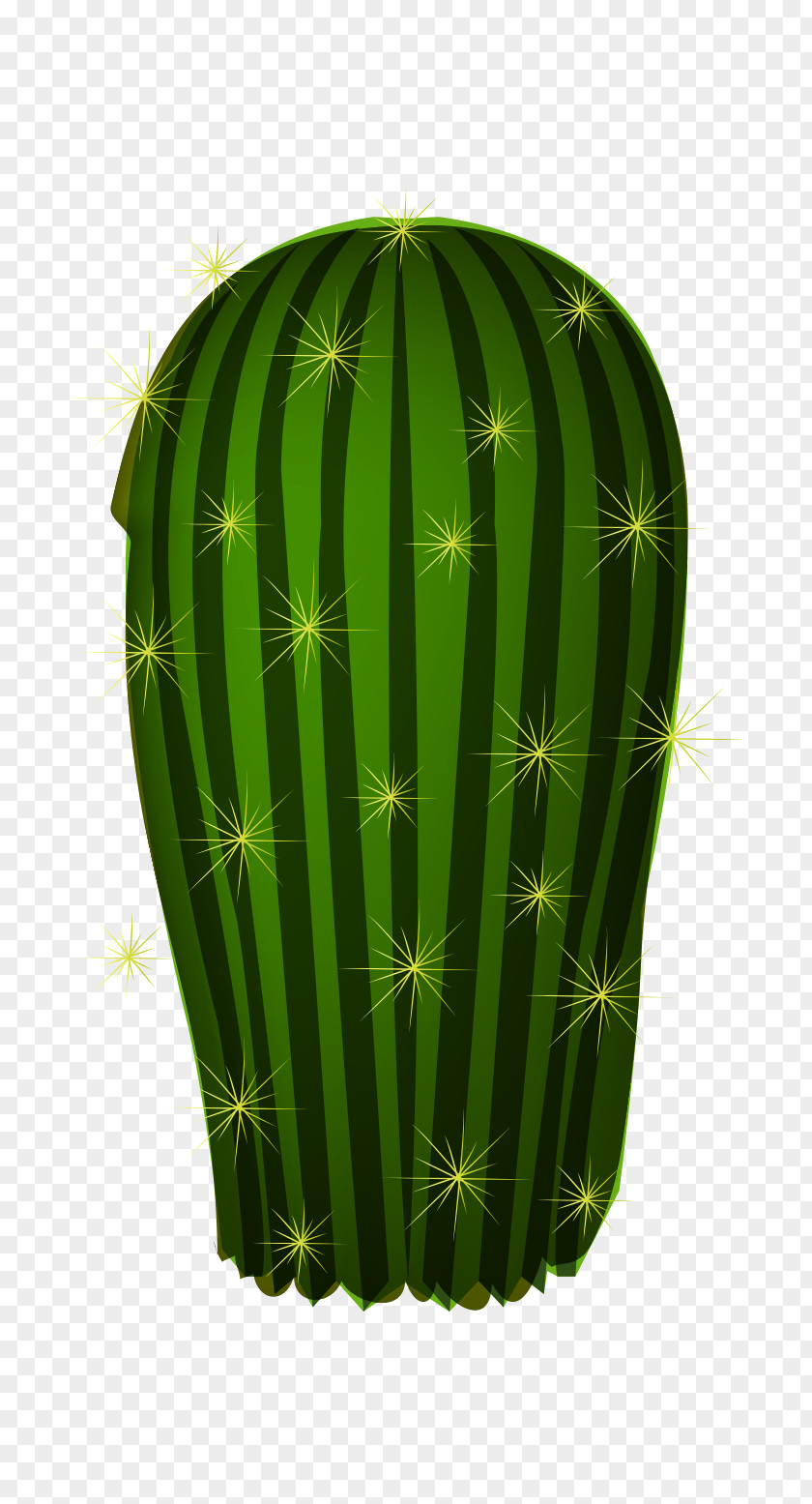 Vector Cute Cactus Plant Cactaceae PNG