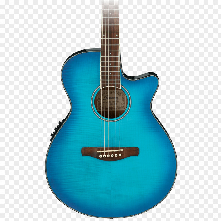 Acoustic Guitar Acoustic-electric Bass Tiple PNG