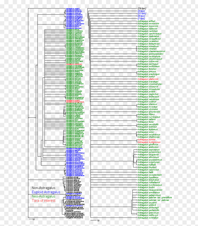 Astragalus Line Angle Diagram Minute Font PNG