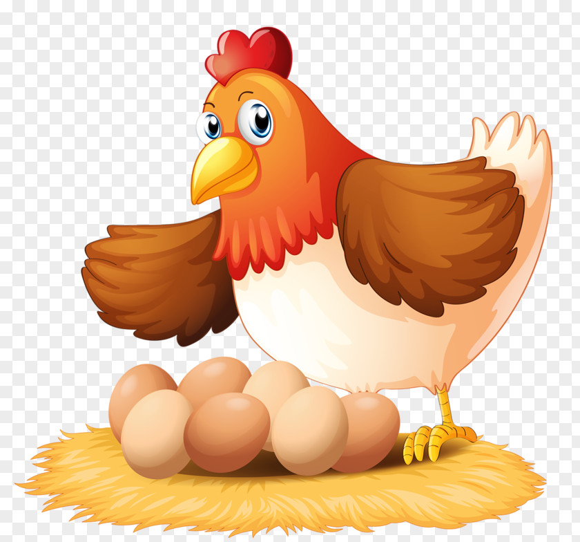 Salty Wind Egg Rain Chicken Hen Clip Art PNG