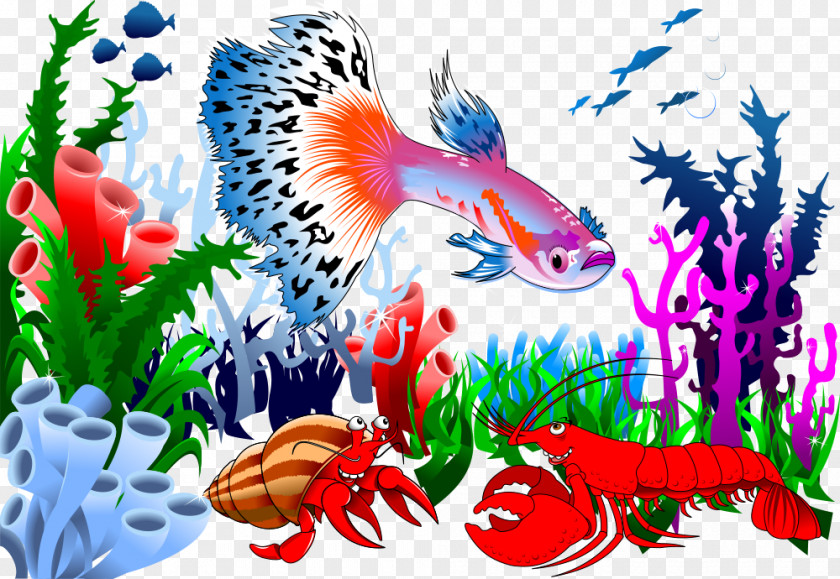 Vector Peacock Fish And Lobster Download Illustration PNG