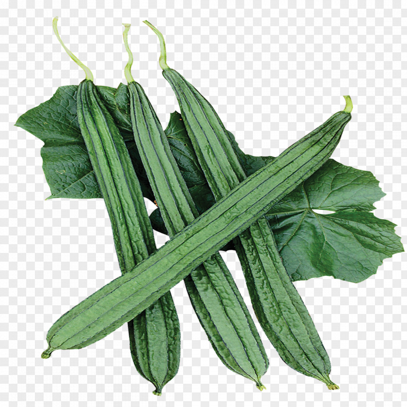 Vegetable Food Amaranthus Cruentus Cucumber Luffa PNG
