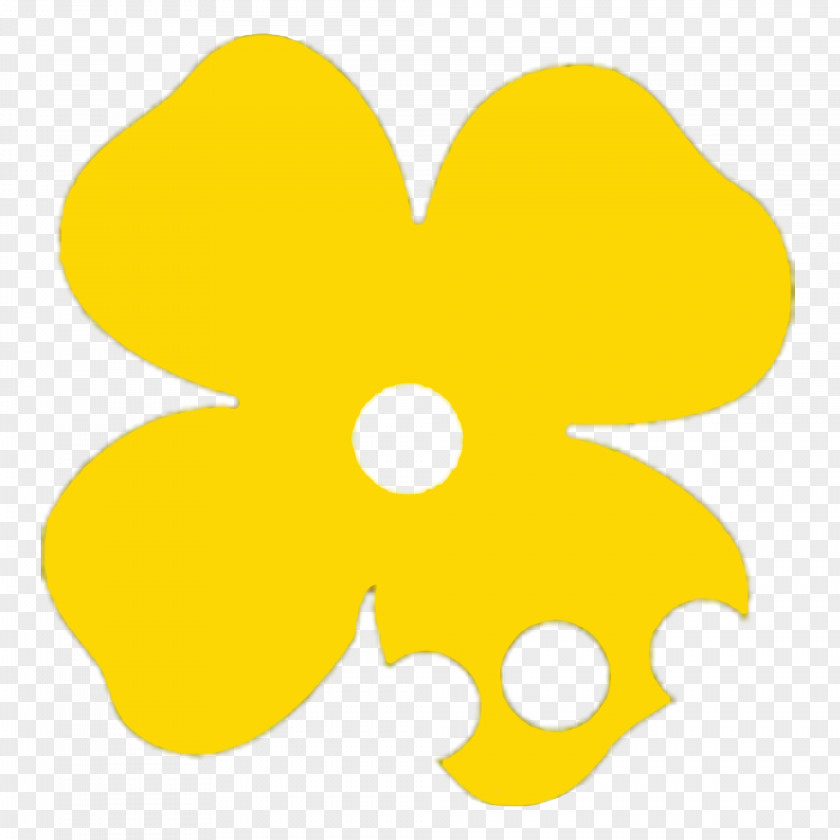 Canola Petal Flowering Plant Clip Art PNG