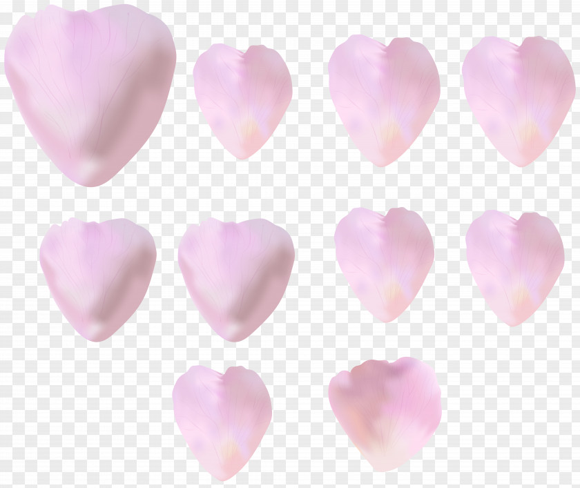 Flower Petals Petal Heart Pink M PNG