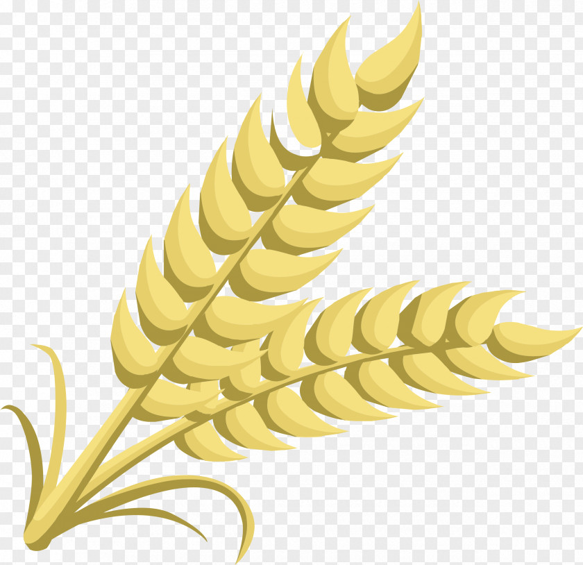 Grain Cliparts Wheat Cereal Ear Clip Art PNG