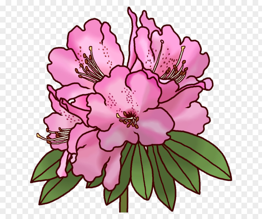 Ohana Rhododendron Subg. Hymenanthes Koka 滋賀県レクリエーション協会 Floral Design Brachycarpum F. Nemotoanum PNG