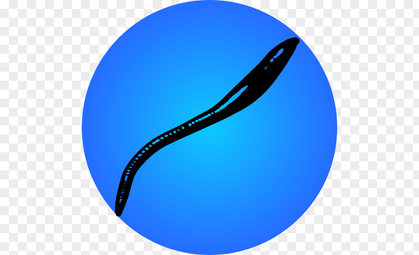 Android NZB Quiz: Logo Game Leech PNG