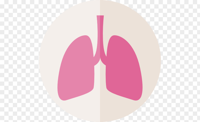 Creative Lungs Lilac Purple Magenta Violet PNG
