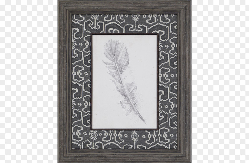 Feather Sketch Work Of Art Picture Frames Paper PNG