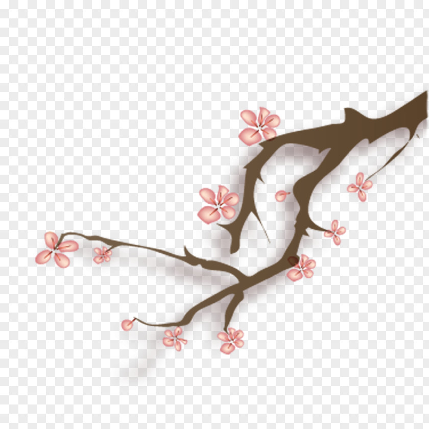 Peach Blossom Material Plum Icon PNG