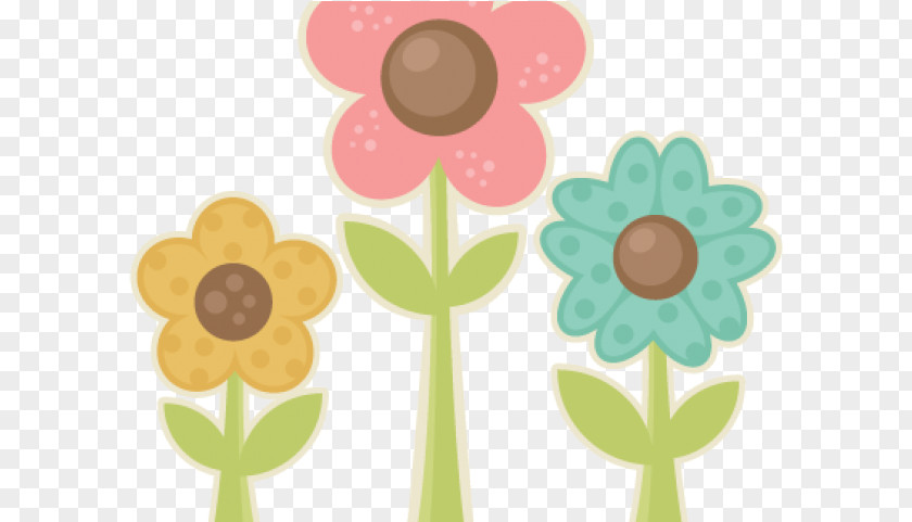 Petal Plant Flower Borders PNG