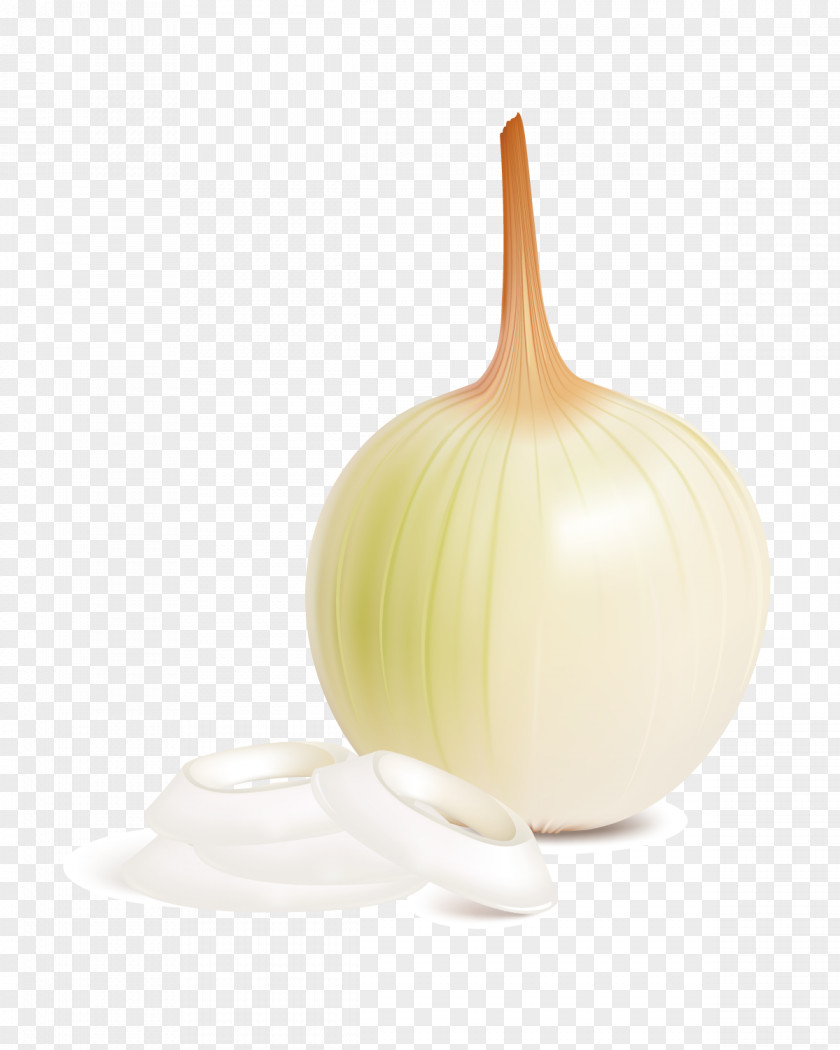 An Onion PNG