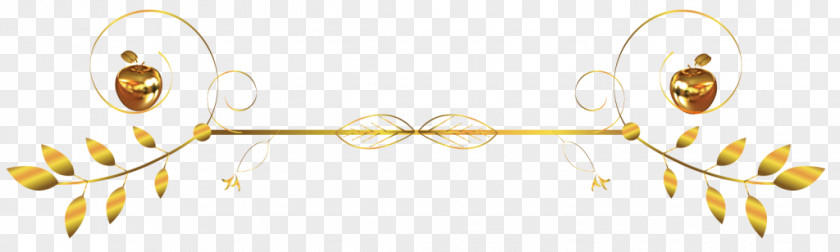 Divider Gold Body Jewellery Image PNG