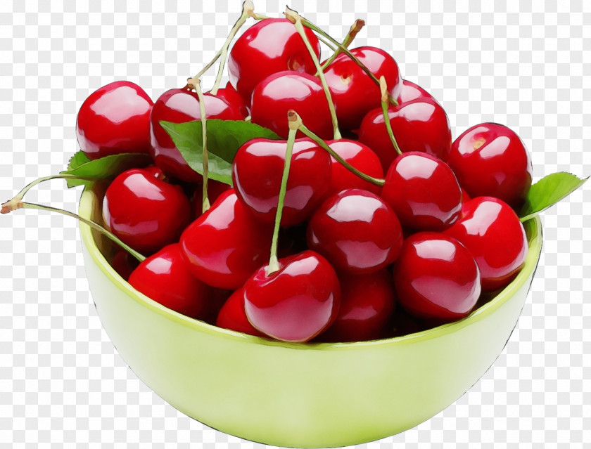 Lingonberry Berry Food Cherry Natural Foods Fruit Plant PNG