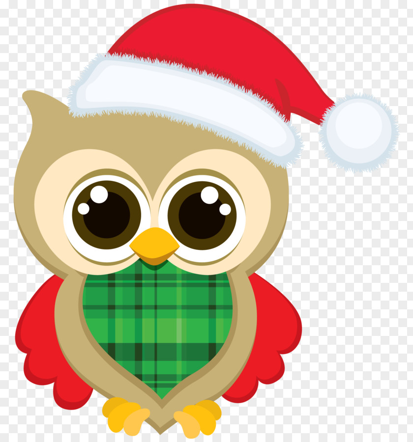 Owl Vector Christmas Santa Claus Clip Art PNG