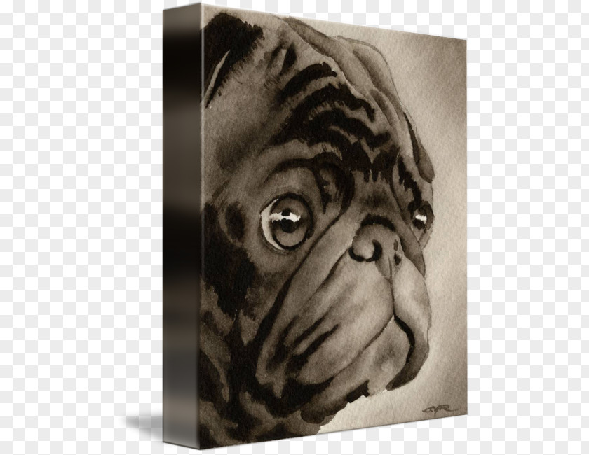 Painting Pug Dog Breed Watercolor Art PNG