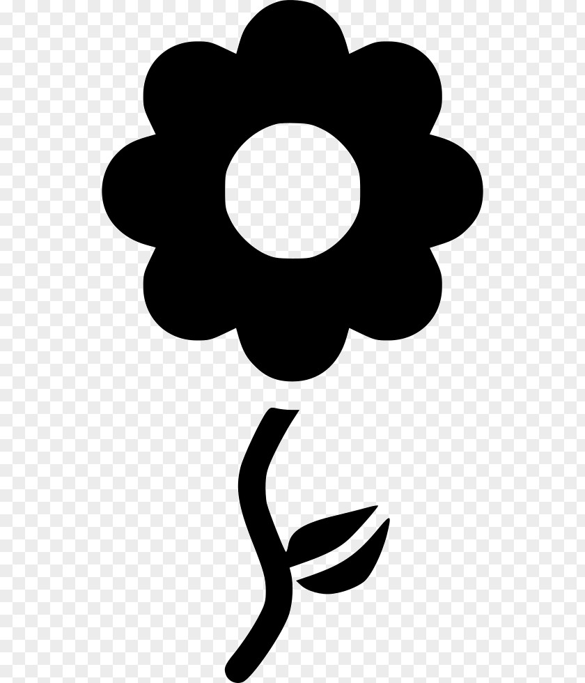Summer Icons Flower Computer PNG