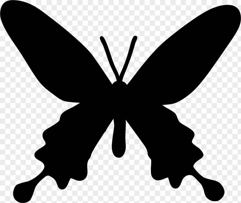Butterflay Butterfly Stencil Drawing Silhouette Painting PNG