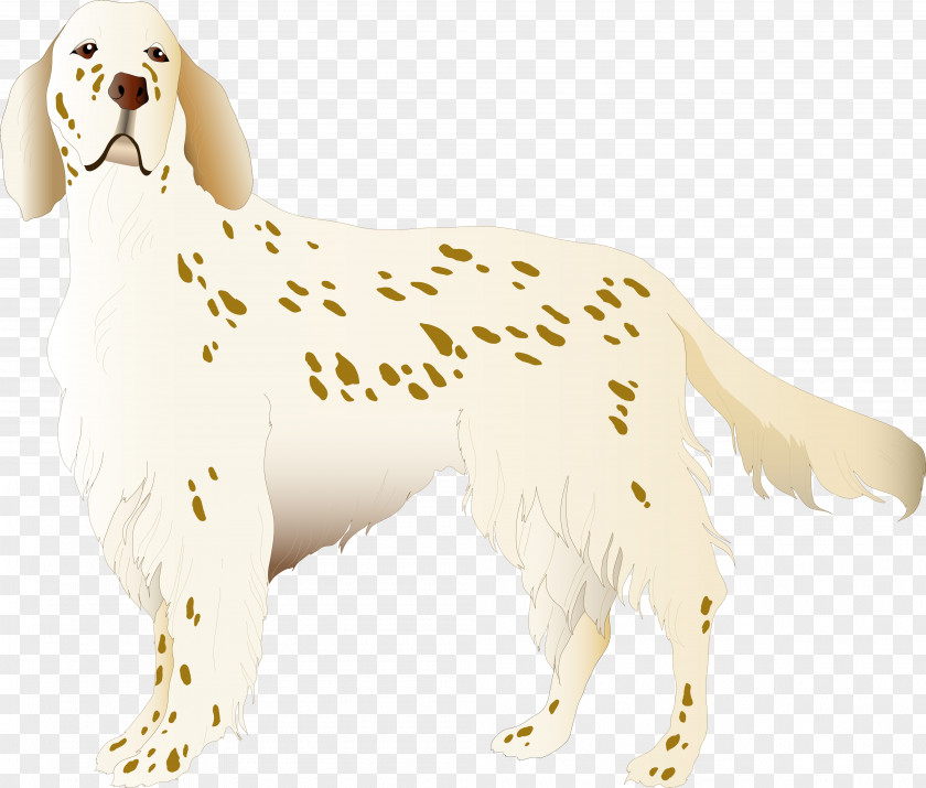 Dog English Setter Puppy Assistance Breed Clip Art PNG