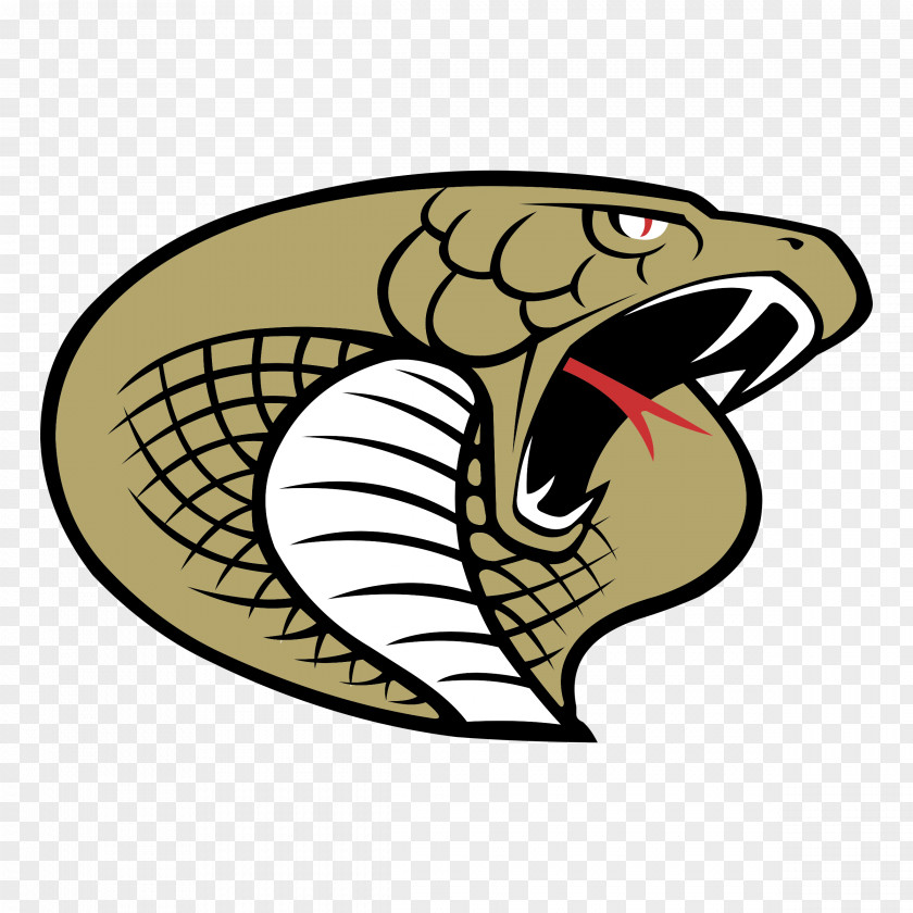 Snake Gourd Snakes Carolina Cobras Arena Football League Vector Graphics Logo PNG