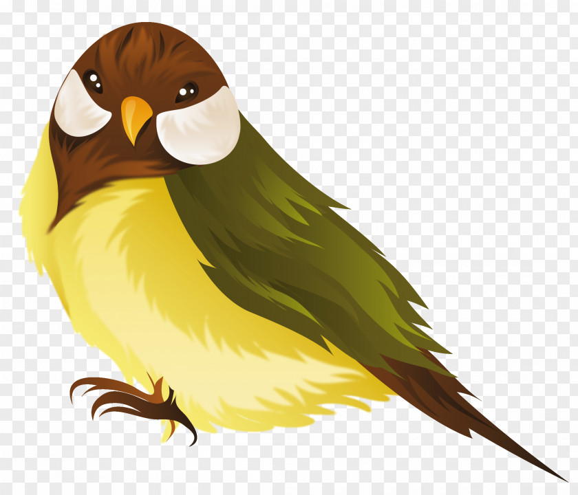 Bird Clipart Image Parrot Domestic Canary Clip Art PNG