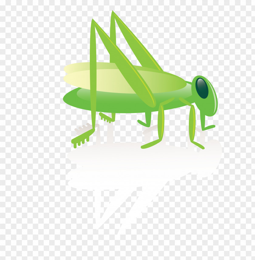 Cartoon Green Insect Cricket Clip Art PNG