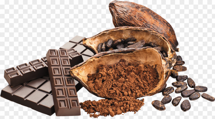 Chocolate Bar White Cocoa Bean Theobroma Cacao PNG