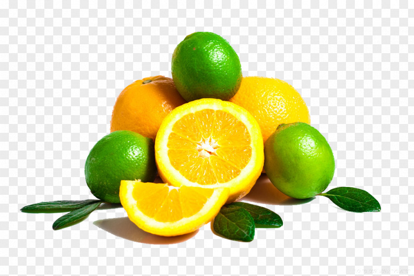 Fresh Lemon Juice Key Lime Grapefruit Citrus Xd7 Sinensis PNG