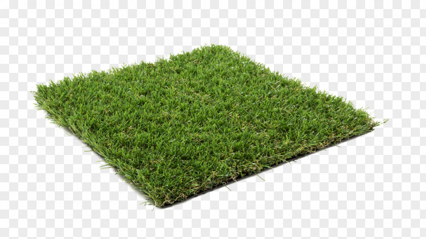 Magnolia Artificial Turf Lawn Carpet Grass Terrace PNG
