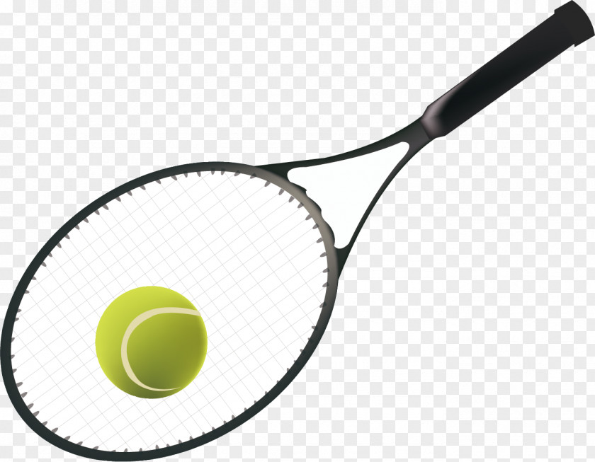 Vector Tennis Sports Equipment Racket PNG