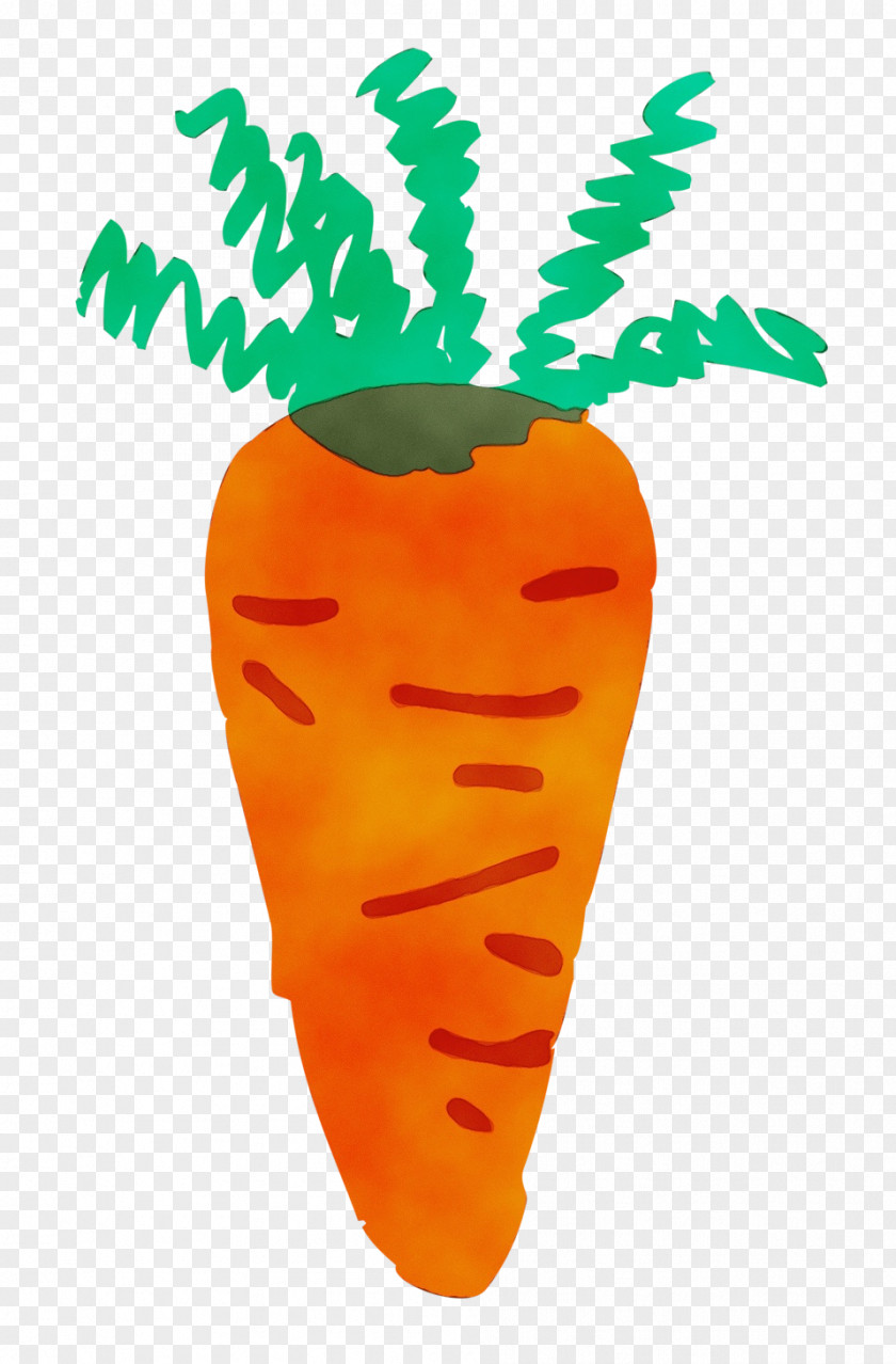 Vegetable Root Carrot PNG