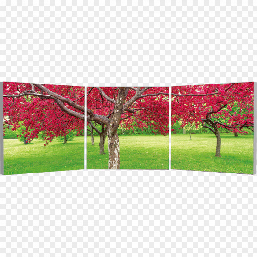 Cherry Decoration Triptych Art Panel Painting Photography Diptych PNG