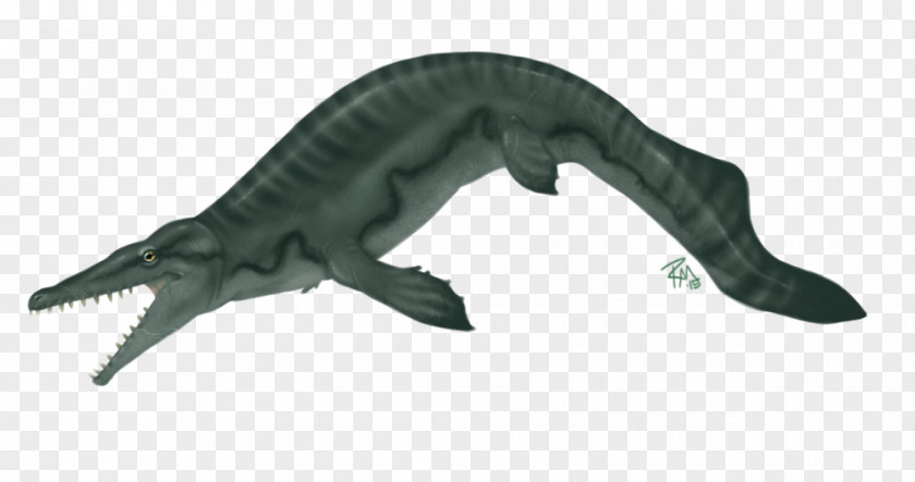 Dinosaur Mosasaurus Hainosaurus Art PNG