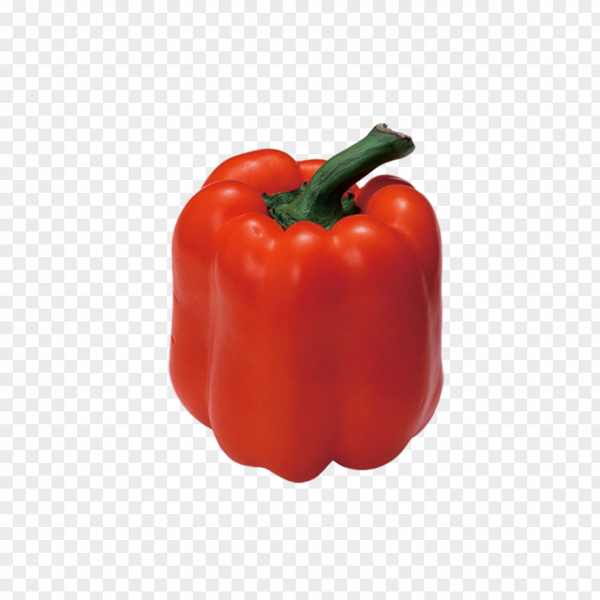Dwarf Red Pepper Habanero Bell Pimiento Chili Vegetarian Cuisine PNG