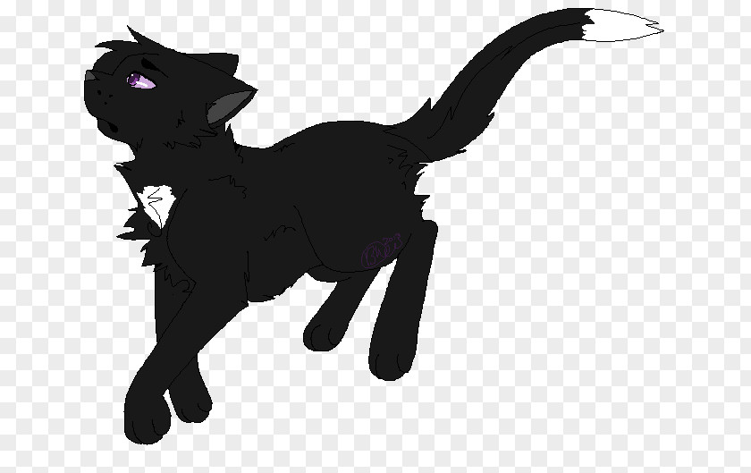 Floating Gift Cat Warriors Ravenpaw Firestar Tigerstar PNG