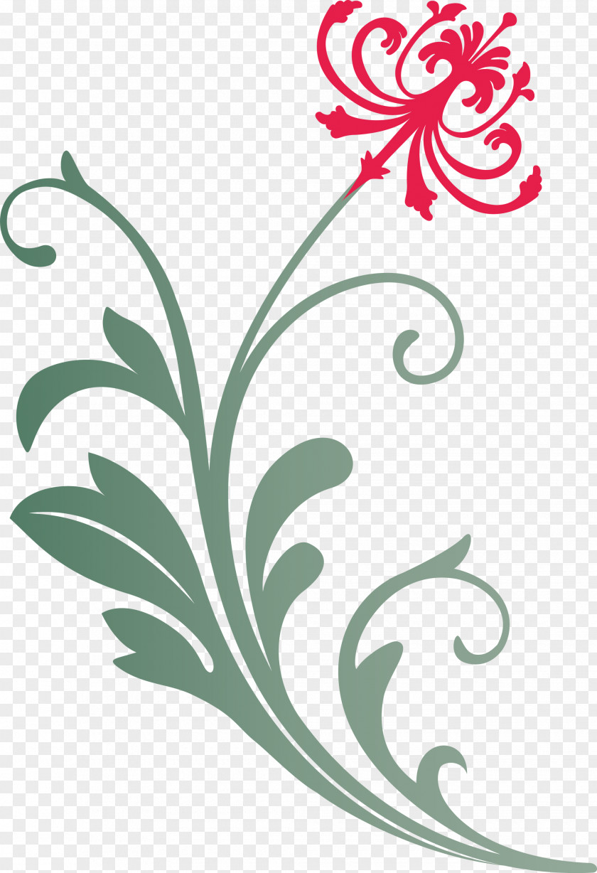 Flower Frame Decoration PNG