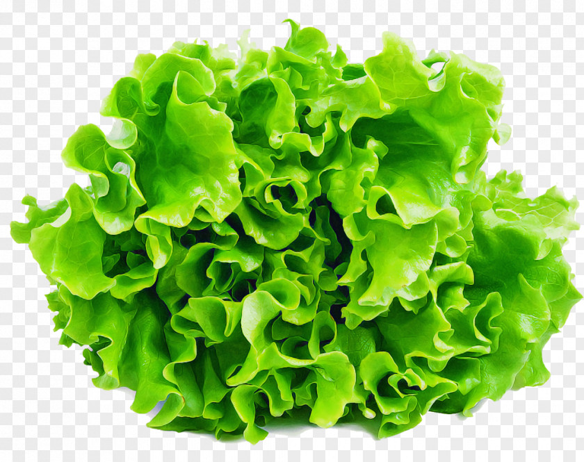 Food Flower Green Lettuce Leaf Vegetable Blue Sow Thistle PNG