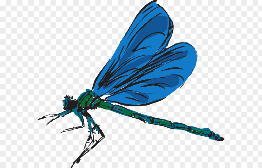 Free Dragonfly Clipart Content Download Clip Art PNG