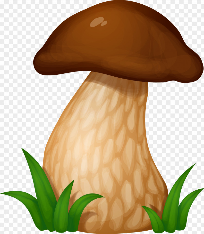 Mushroom Boletus Edulis Euclidean Vector Fungus PNG