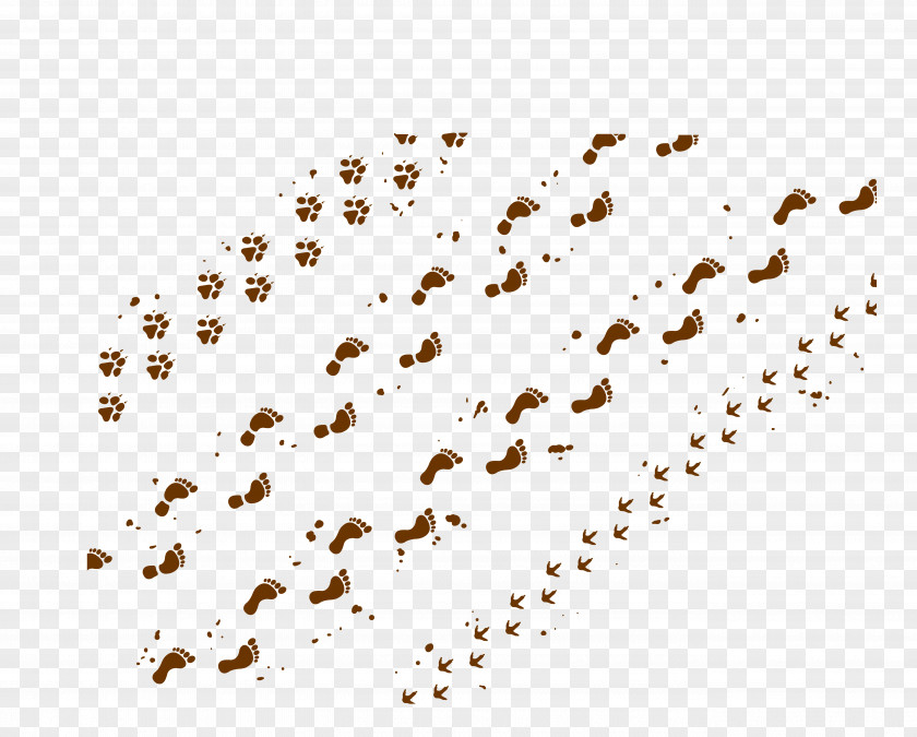 A Variety Of Footprints With Mud Dog Footprint Computer File PNG